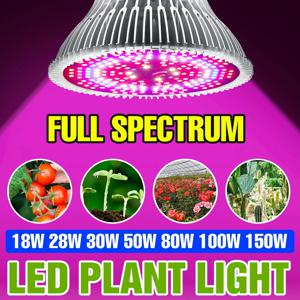 150W E27 풀 스펙트럼 식물 전구 실내 LED 수경재배 성장 박스 E14 온실 텐트 채소 다육 식물 씨앗 재배 조명