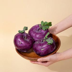 [더조은] 제주직송 아삭달콤 콜라비 (중대과) 5kg