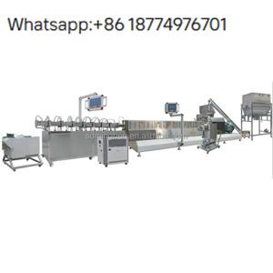 고성능 대두 단백질 가공 기계 건강식품 제조 영상 지원 콩 기계 도면