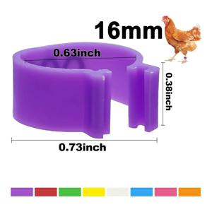 새로운 80Pcs 16mm 치킨 레그 밴드 8 색, 다채로운 01-80 번호 치킨 식별 레그 밴드 오리 가금류 다리 태그