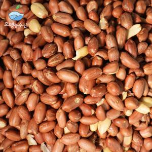 [대용량1kg] 효명농수산 볶음땅콩 1kg 외 견과류 6종 런칭 초특가
