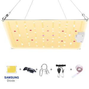 1000W LED는 실내 온실 텐트 수경 식물에 사용되는 삼성 다이오드 전체 스펙트럼 자동 양자 보드로 빛을 성장시킵니다.