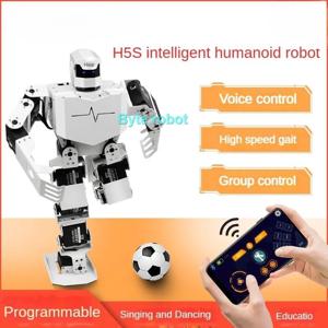 RoboSoul H5S 프로그래밍 가능 로봇 키트, 조립 휴머노이드 로봇, 교육, 걷기, 노래, 춤추는 로봇, 엔터테인먼트 로봇, 16 DOF