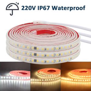 AC 220V LED 스트립 빛 방수 SMD 2835 120LED/m 1M 5M 10M 20M 30M 유연한 리본 테이프 램프 홈 조명 장식