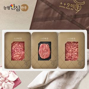 [구미우] 1++9등급 이룸 한우 선물세트 4호 등심+안심+채끝살/각200g/총600g