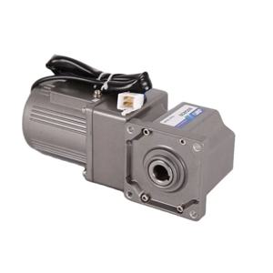 공장 직접 GR 시리즈 25W/30W 저소음 단상 Ac 기어 모터 220v 유도 전동기-80YYJT25-3