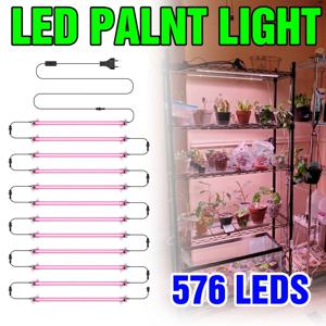 LED 식물 성장 조명 전체 스펙트럼 실내 수경법 씨앗 꽃 야채 성장 상자 재배 램프 EU 플러그 30/50CM AC220V