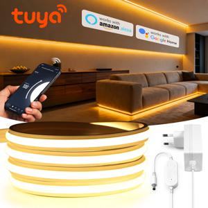 투야 스마트 라이프 앱 와이파이 24V COB LED 스트립 라이트 네온 실리콘 젤 테이프 디밍 가능 알렉사 에코 구글 홈 연동 280leds/m