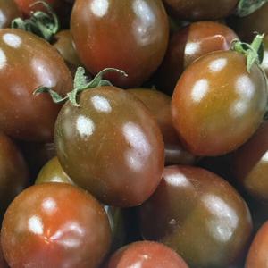 부산 대저 흑대추방울토마토 2kg / 1~3번 로얄과