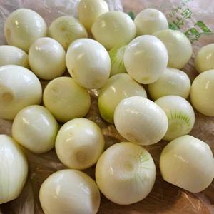 국내산 창녕 깐양파 10kg 중소혼합 국내산 양파