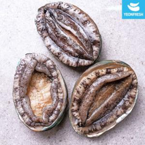 완도 활전복 1kg 7-8미(미당125g내외) 산소팩 무료배송