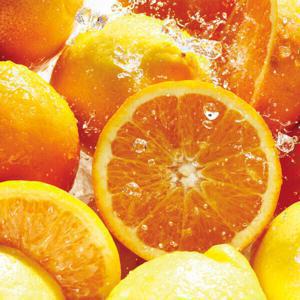 고당도 네이블 최상급 블랙라벨 오렌지 5kg 특대과 14과 내외 개당 중량 340g 내외