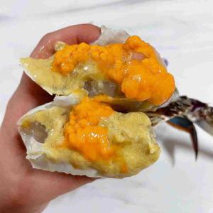 국내산 활 알배기 봄 암 꽃게 1kg 4~6미 알배기 80% 살 수율 80% 당일조업 당일발송 꽃게 찜 게장