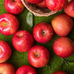 (신선집중) 경북 꿀당도 부사사과 가정용 소과 4kg 28과내외 / 무료배송 / 한 입 과즙팡팡