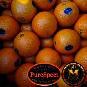 오렌지 블랙라벨 고당도 특대과 (300g내외) 10과 오렌지는 클수록 맛있습니다.