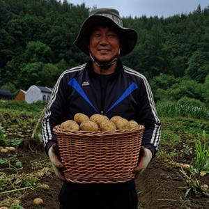 감자 국내산 5kg 중사이즈 우주최저가