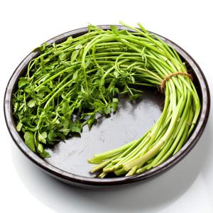 청도 한재 미나리  1kg / 제철 할인