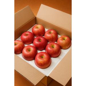 경북 부사사과 중과 5kg  고당도 선별 가정용