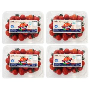 (신선집중) 생생스토리 스테비아 대추 방울 토망고 500gX4팩