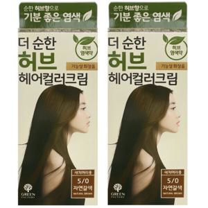 그린팩토리 더 순한 염색약 자연갈색2P 새치머리용 친환경 저자극