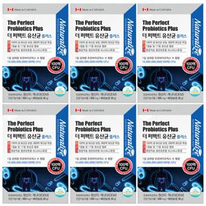 더 퍼펙트 프로바이오틱스 유산균 12개월 100억 생유산균 60캡슐 6박스 프리바이오틱스 업그레이드650억투입
