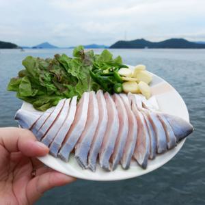 국내산 병어  (손질O) 횟감용 500g (손질 전 1kg 9미 내외)