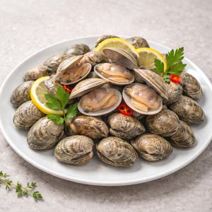 당일 채취 국내산 왕바지락 바지락 조개 1kg (60미 내외) 봉골레 바지락술찜