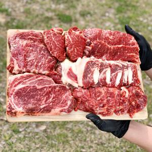 춘자네농축산 1+1 투뿔 한우 실속 세트 소고기 모듬 구이용