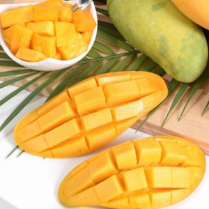 (신선집중) 마하차녹 무지개 망고 4-7과 (총 2kg내외)