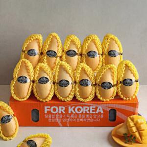 (신선집중) 프리미엄 고당도 항공직송 태국 골드망고 3kg (8~12과)