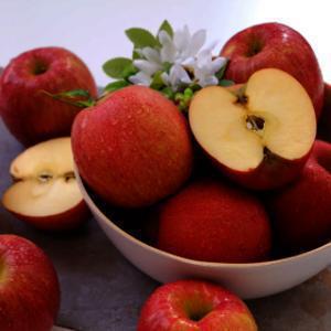 (신선집중) 사과 부사사과 빨간사과 7kg 실중량 (33-41과 내외) 중소과 가정용 / 단 하루 초특가