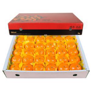 제주 천혜향(중) 5kg(28~30과)