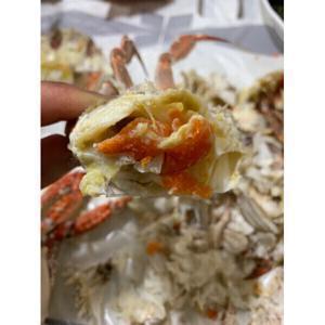 봄 알베기 암꽃게 1kg (3~5미) 봄 알베기 암꽃게 특가