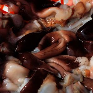 국내산 자연산 손질 새조개 500g내외 새조개 1봉 횟감 새조개 샤브샤브 (10~25미내외)