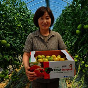 대저토마토 못난이 가정용 주스용 2.5kg 혼합사이즈 우주최저가