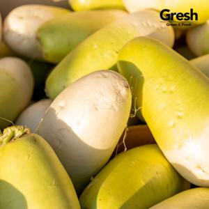 국내산 제주무 제주 월동무 세척무 2kg 5kg 10kg 국산 무우 김장무