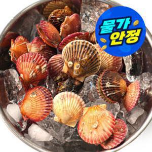 (물가안정)(신선집중) 국내산 통영 제철 홍가리비 가리비 5kg 110미 내외 (2개 구매 할인+초장 증정)