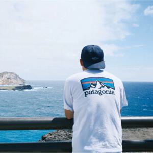 patagonia 파타고니아 P-6 로고 남녀공용 반팔 티셔츠 오가닉 코튼