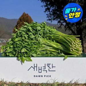 (물가안정)(신선집중) 변규성 농부님의 청도 한재 미나리 1kg