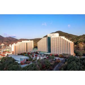 |숙박세일|단양군 호텔|소노벨 단양