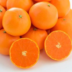 (우주초특가) 제주 카라향 4.5kg 로얄과 실중량 (45~60과 내외) 가정용 / 지마켓 단독 하루특가