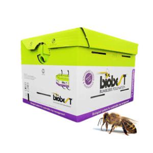 농사이야기 동오 수정벌 1통 벨기에 수입 에코벌 토마토 딸기 서양 뒤영벌 멜론 블루베리