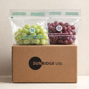 (신선집중) 직수입 고당도 아삭 청포도 오톰 크리스피 900g + 적포도900g 총 1.8kg내외 1+1