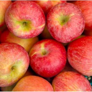 (초특가행사) 최대16brix 벌꿀당도 경북 사과 부사사과 // 5kg 33-45과내외 박스포함