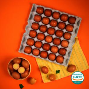 단 하루 특가) 맛난 구운란 중란 60구 HACCP인증 건강간식 구운계란