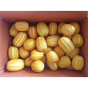 (신선집중) 성주참외 가정용 몬난이 참외5kg (4.5kg)실중량 한정수량