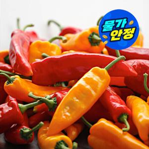 (신선집중) 김제 오아로 고당도 트리벨리 파프리카 1.5kg