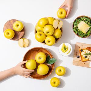 [미식한가] 황금사과 시나노골드 가정용 2kg 14-16과