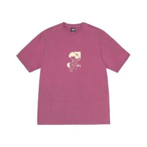 스투시 널쳐 티셔츠 베리 1905064