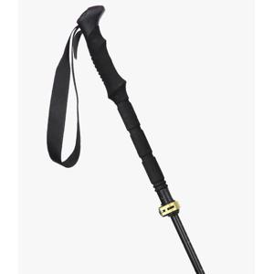 레드페이스 HC12 스카이폴딩스틱 GR REEGSTXBE101